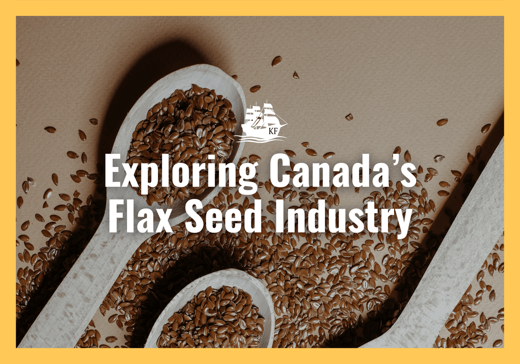 Exploring Canada's Flax Seed Industry